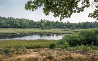Nieuw: Hoogveen Hike