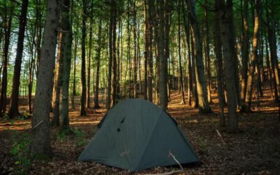 Overnight expeditie wilde Veluwe