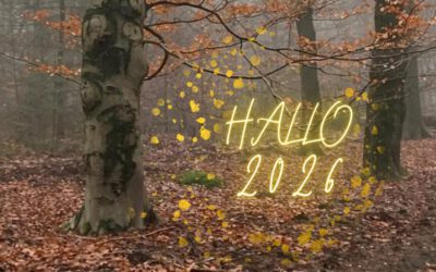 Gelukkige Nieuwjaarswandeling