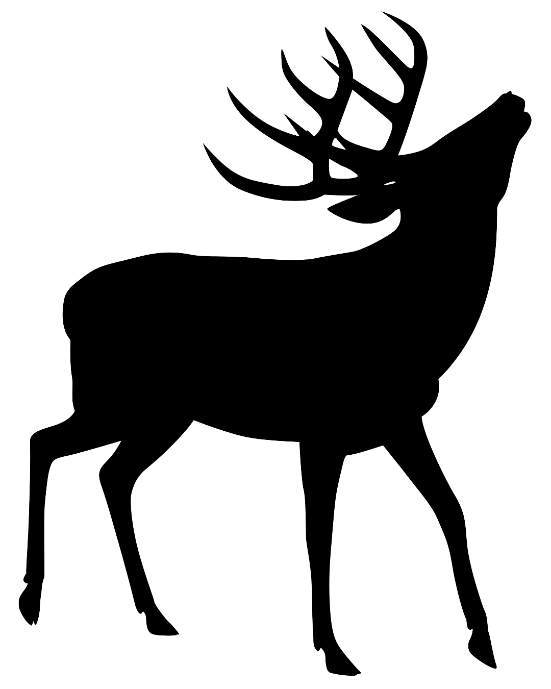 Wildwise bronst edelhert